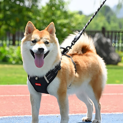 Dog Harness with Handle for Small to Medium Dogs, No Pull Reflective Adjustable Dog Harness to Prevent Pulling for Training Walking