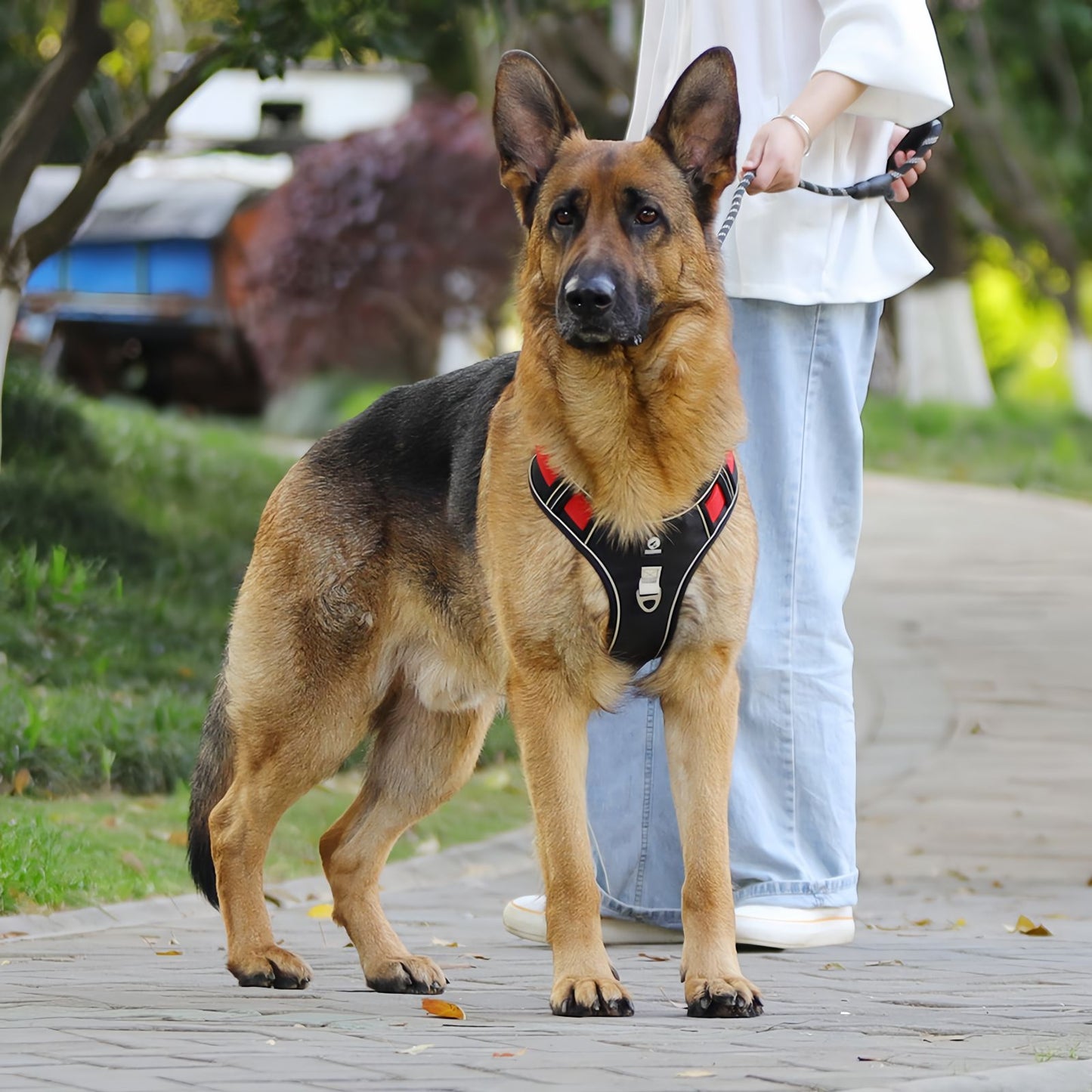 Dog Harness to Prevent Pulling, Anti Pull Escape Proof Dog Harness for Medium to Large Dogs