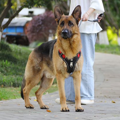 Dog Harness to Prevent Pulling, Anti Pull Escape Proof Dog Harness for Medium to Large Dogs