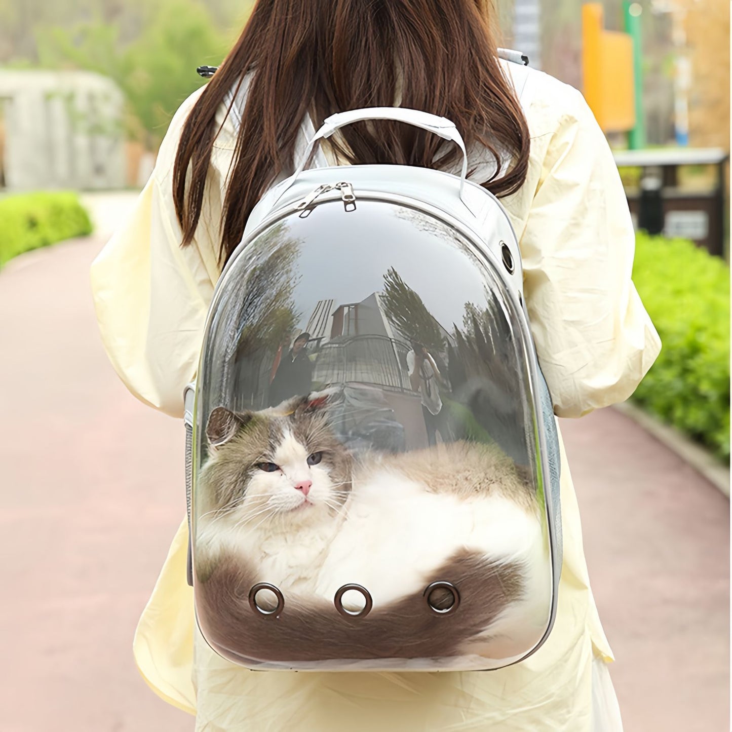 Bubble Cat Backpack with Window, Space Capsule Pet Carrier Backpack for Cats