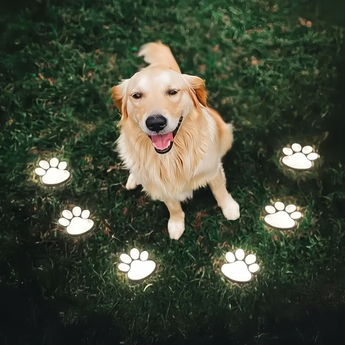 Solar Paw Lights Outdoor, Paw Print Garden Lights for Pathway, Lawn and Yard