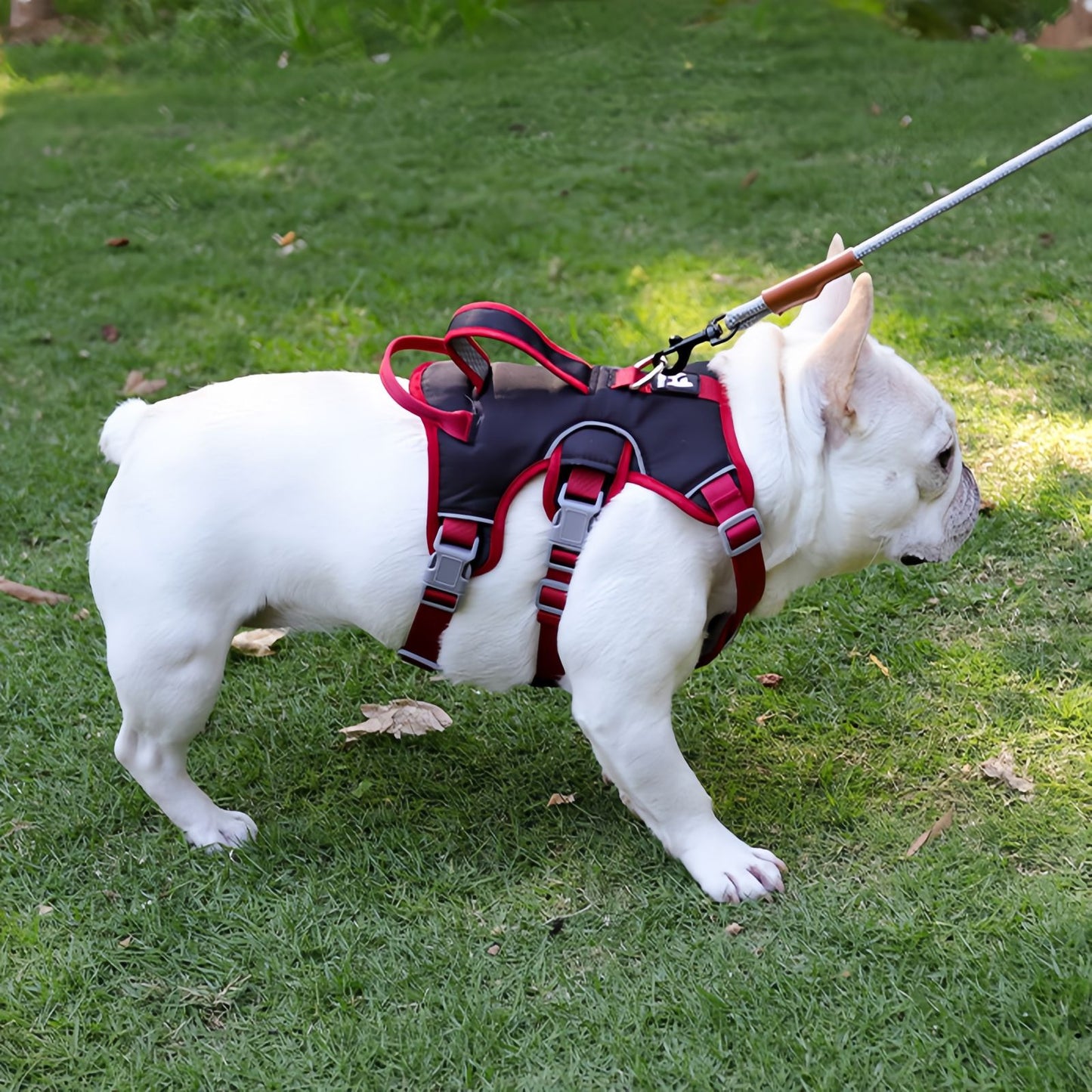 Escape Proof Dog Harness with Dual Handle, No Pull Reflective Adjustable Dog Harness for Small to Medium Dogs