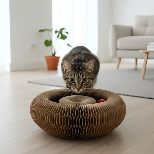 Foldable Cardboard Cat Scratcher Toy with Ball, Interactive Cat Scratch Toy for Indoor Cats