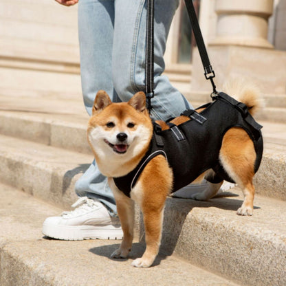 Dog Lift Harness for Small to Large Dogs, Adjustable Full Body Support Harness Lift for Dogs with Mobility Issues & Rehabilitation Needs