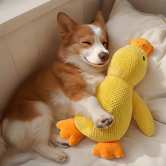 Duck Dog Toy Squeaky Plush Dog Teething Toy, Durable Dog Chew Toy for Aggressive Chewers, Interactive Dog Toy for Small, Medium & Large Dogs