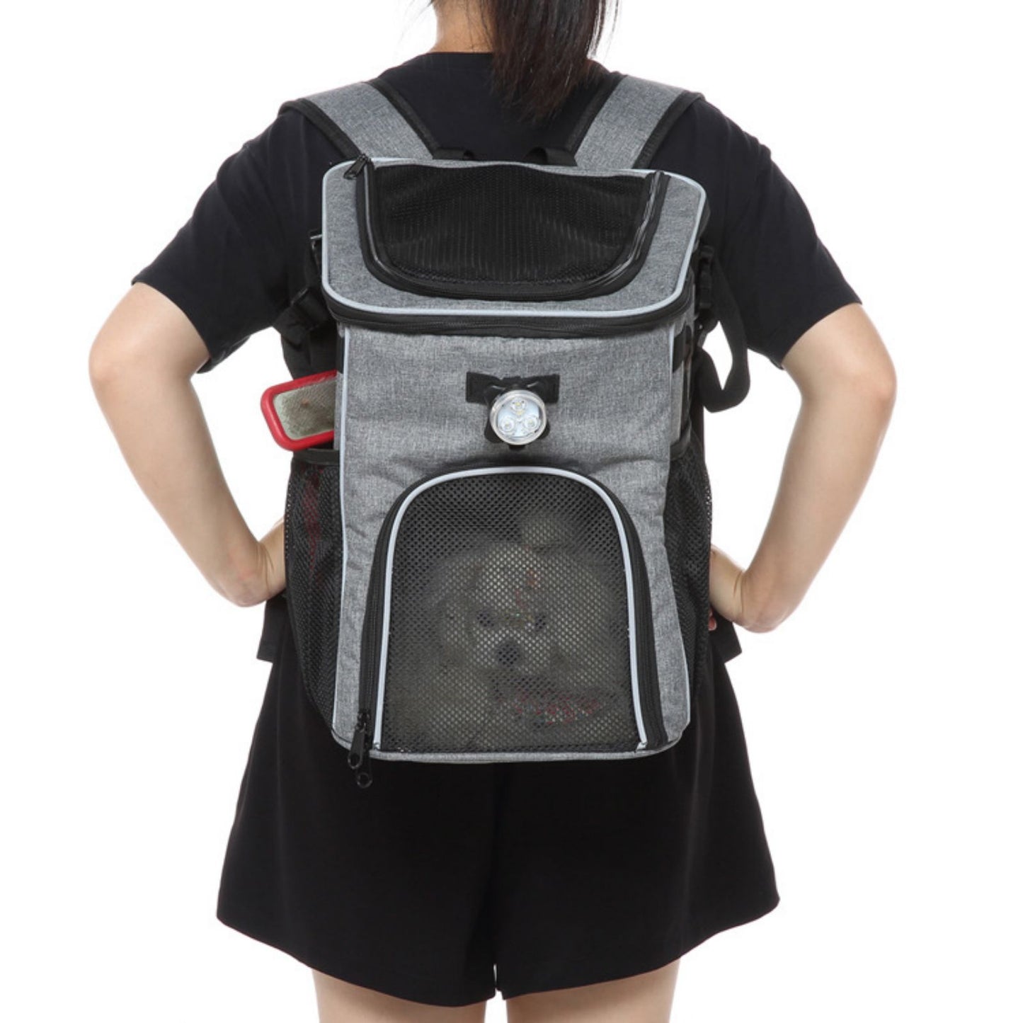 Dog Bike Backpack, 3-in-1 Bicycle Dog Backpack Carrier with Breathable Mesh & Handlebar Mount for Cycling, Travel & Outdoor Adventures