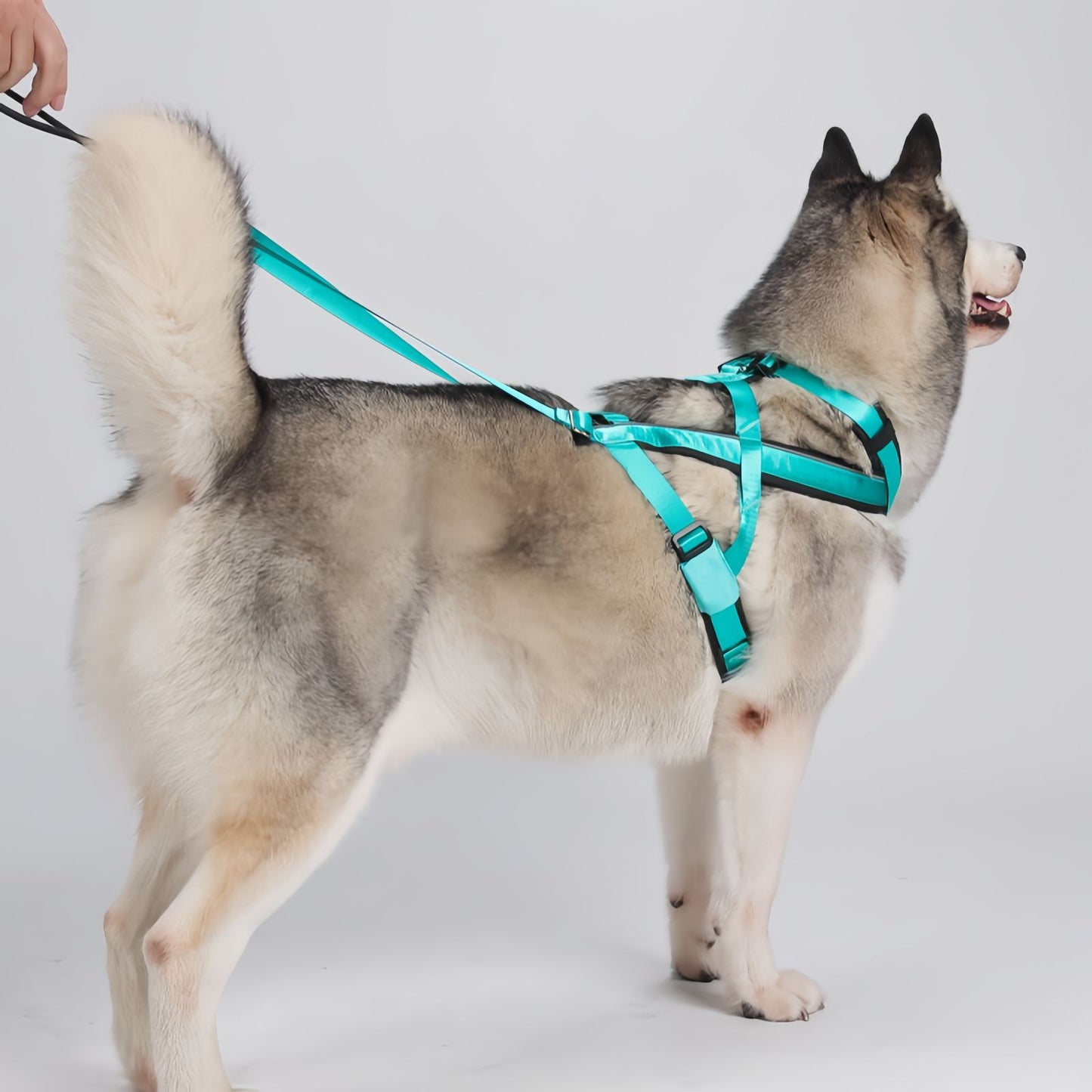 Heavy Duty Sled Dog Harness for Medium to Large Dogs, Reflective Dog Pulling Harness for Running Training & Outdoor Activities