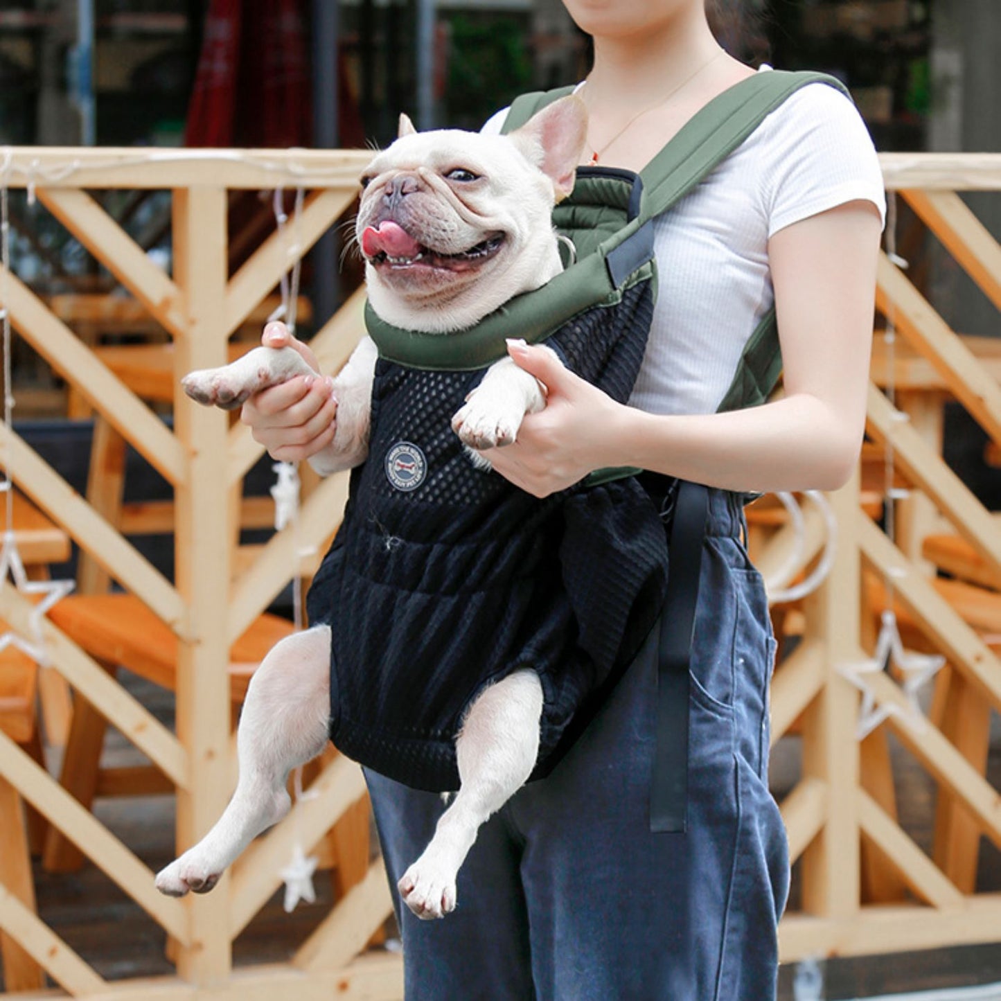 Puppy Dog Backpack Carrier, Breathable Front & Back Dog Carrier for Small Medium Dogs