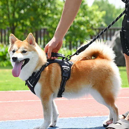 Dog Harness with Handle for Small to Medium Dogs, No Pull Reflective Adjustable Dog Harness to Prevent Pulling for Training Walking