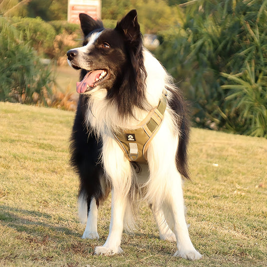 Dog Harness to Prevent Pulling, Anti Pull Escape Proof Dog Harness for Medium to Large Dogs