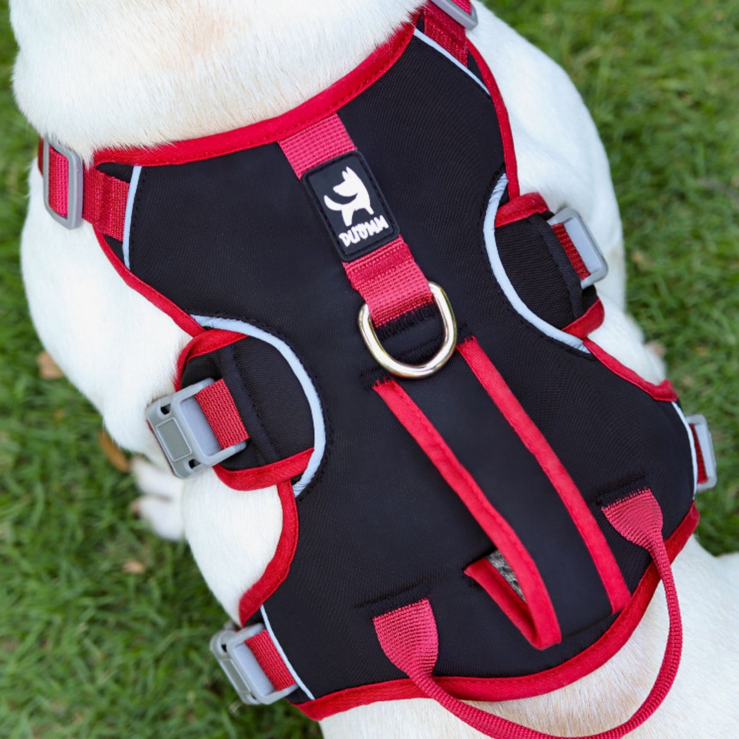 Escape Proof Dog Harness with Dual Handle, No Pull Reflective Adjustable Dog Harness for Small to Medium Dogs