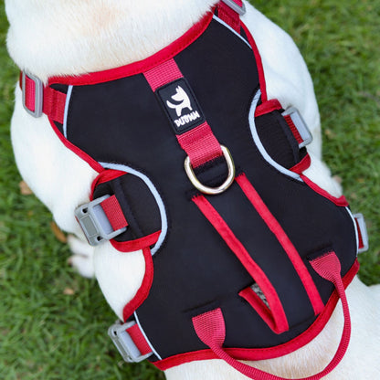 Escape Proof Dog Harness with Dual Handle, No Pull Reflective Adjustable Dog Harness for Small to Medium Dogs